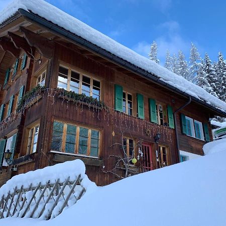 Chalet Schiltwald InnerВенген Екстер'єр фото
