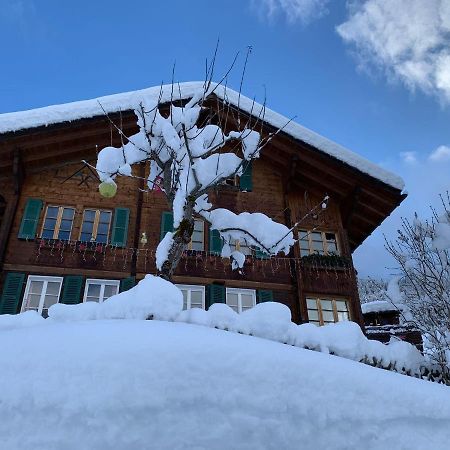 Chalet Schiltwald InnerВенген Екстер'єр фото