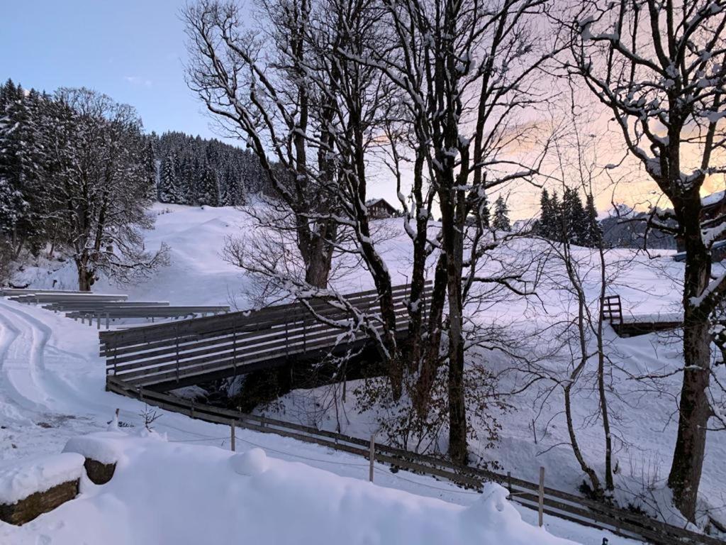 Chalet Schiltwald InnerВенген Екстер'єр фото