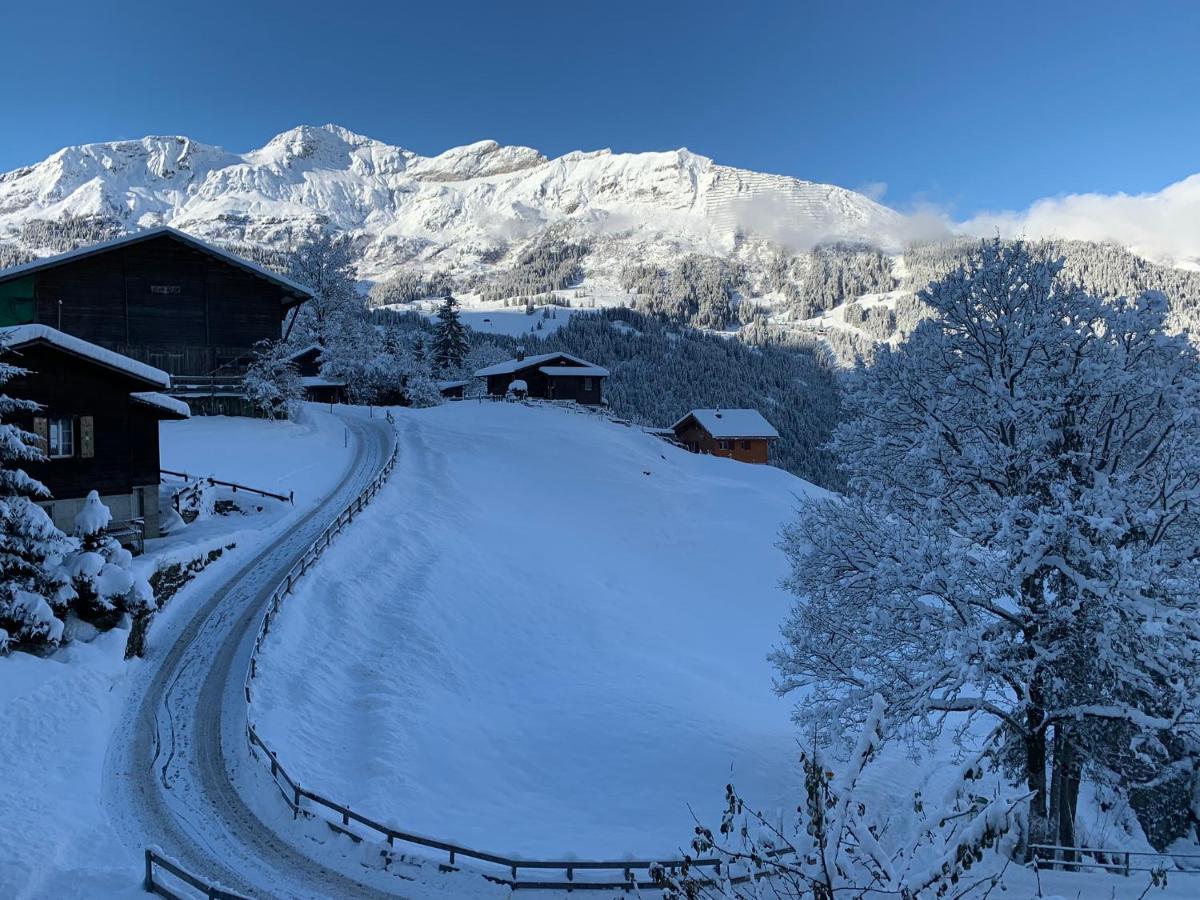 Chalet Schiltwald InnerВенген Екстер'єр фото