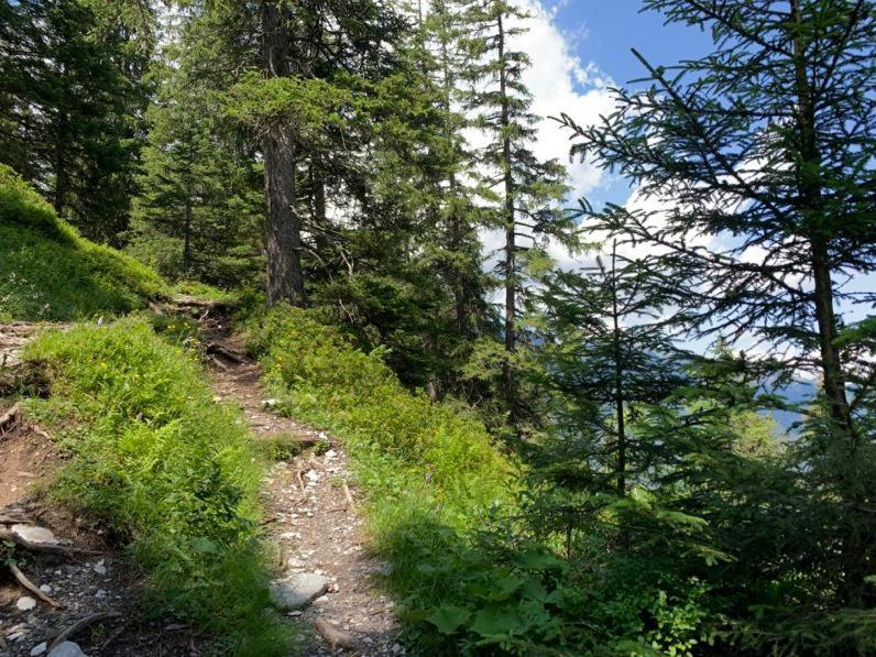 Chalet Schiltwald InnerВенген Екстер'єр фото