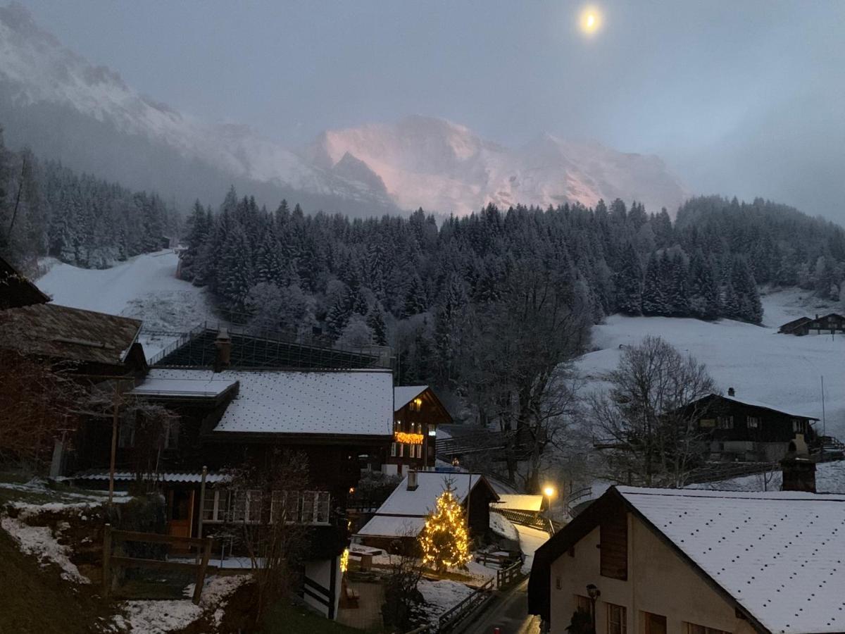 Chalet Schiltwald InnerВенген Екстер'єр фото