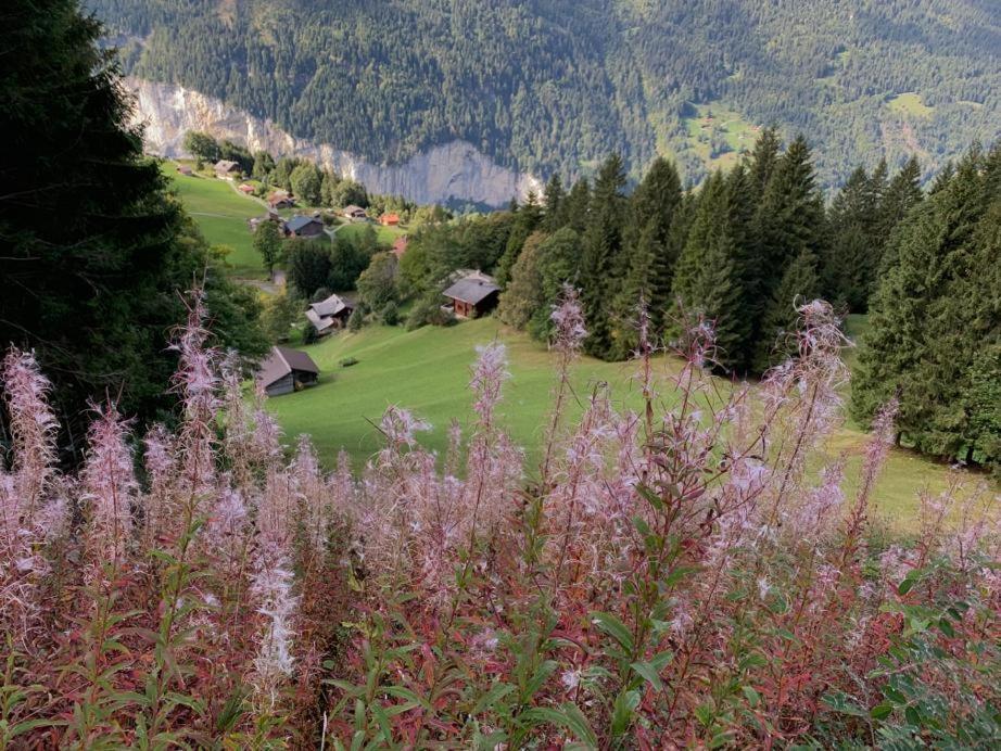 Chalet Schiltwald InnerВенген Екстер'єр фото