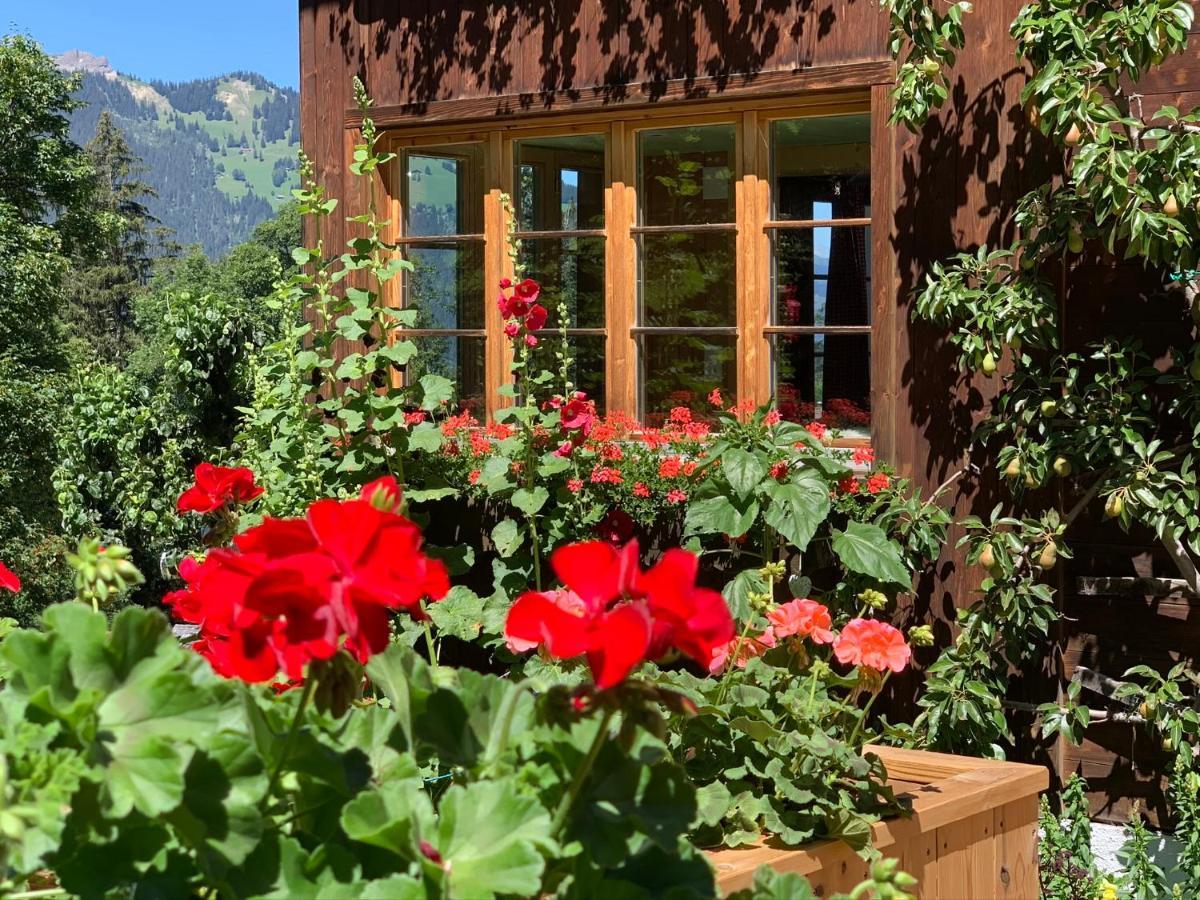 Chalet Schiltwald InnerВенген Екстер'єр фото