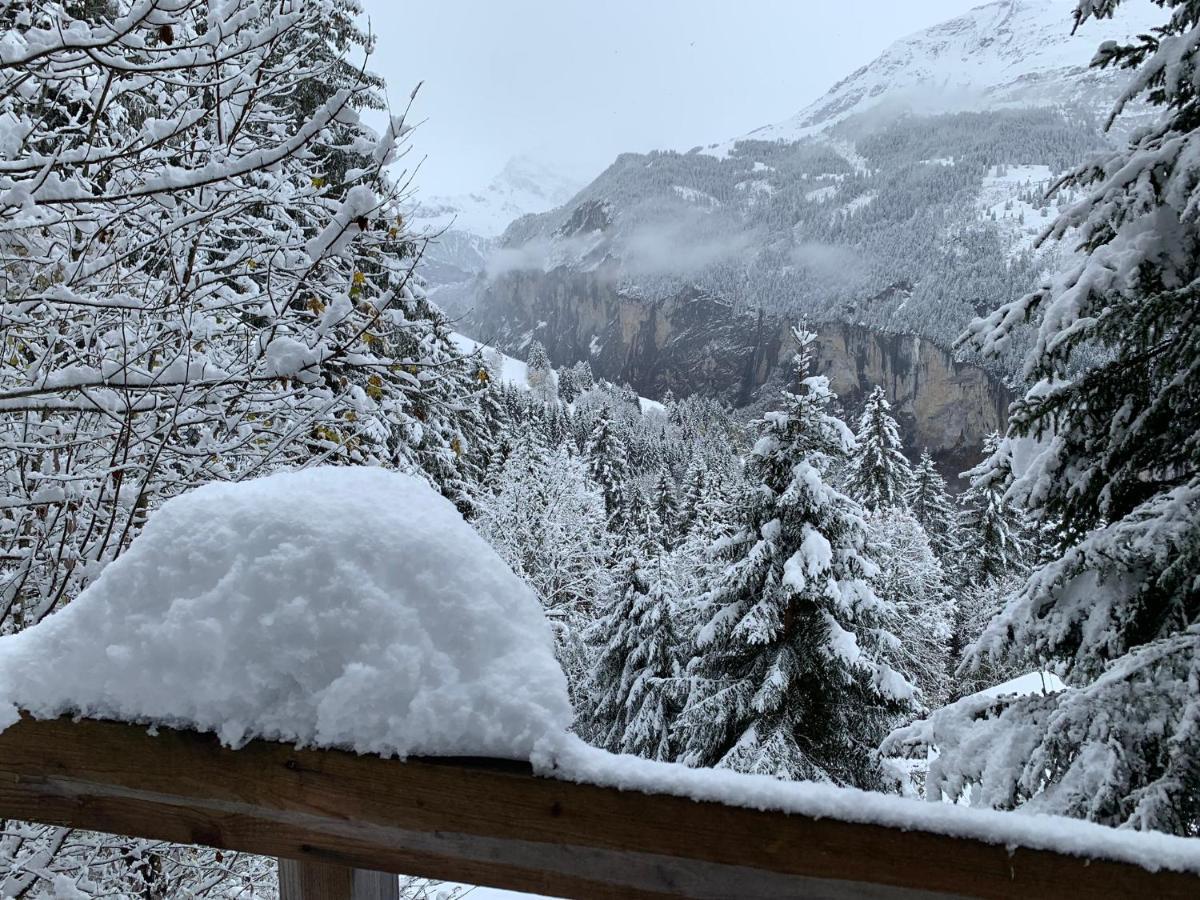 Chalet Schiltwald InnerВенген Екстер'єр фото