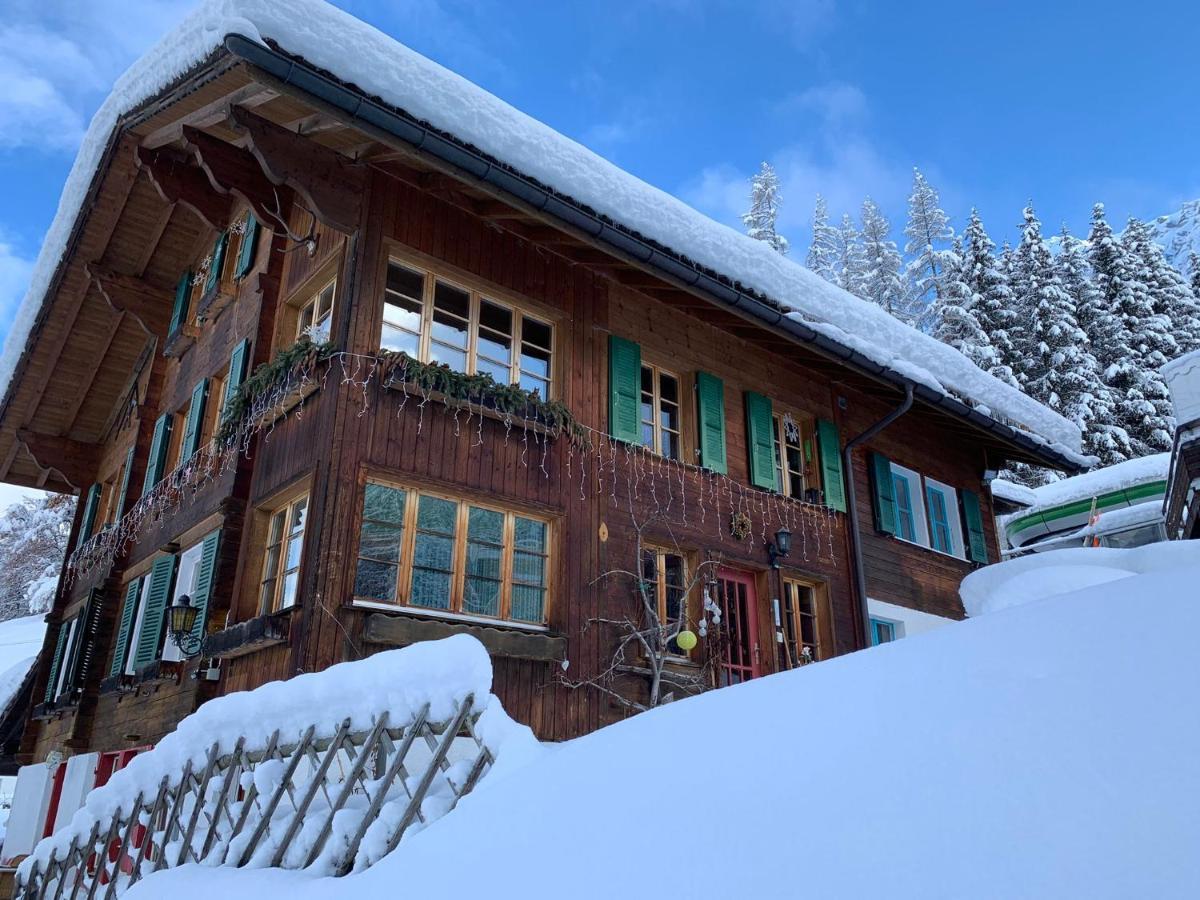 Chalet Schiltwald InnerВенген Екстер'єр фото