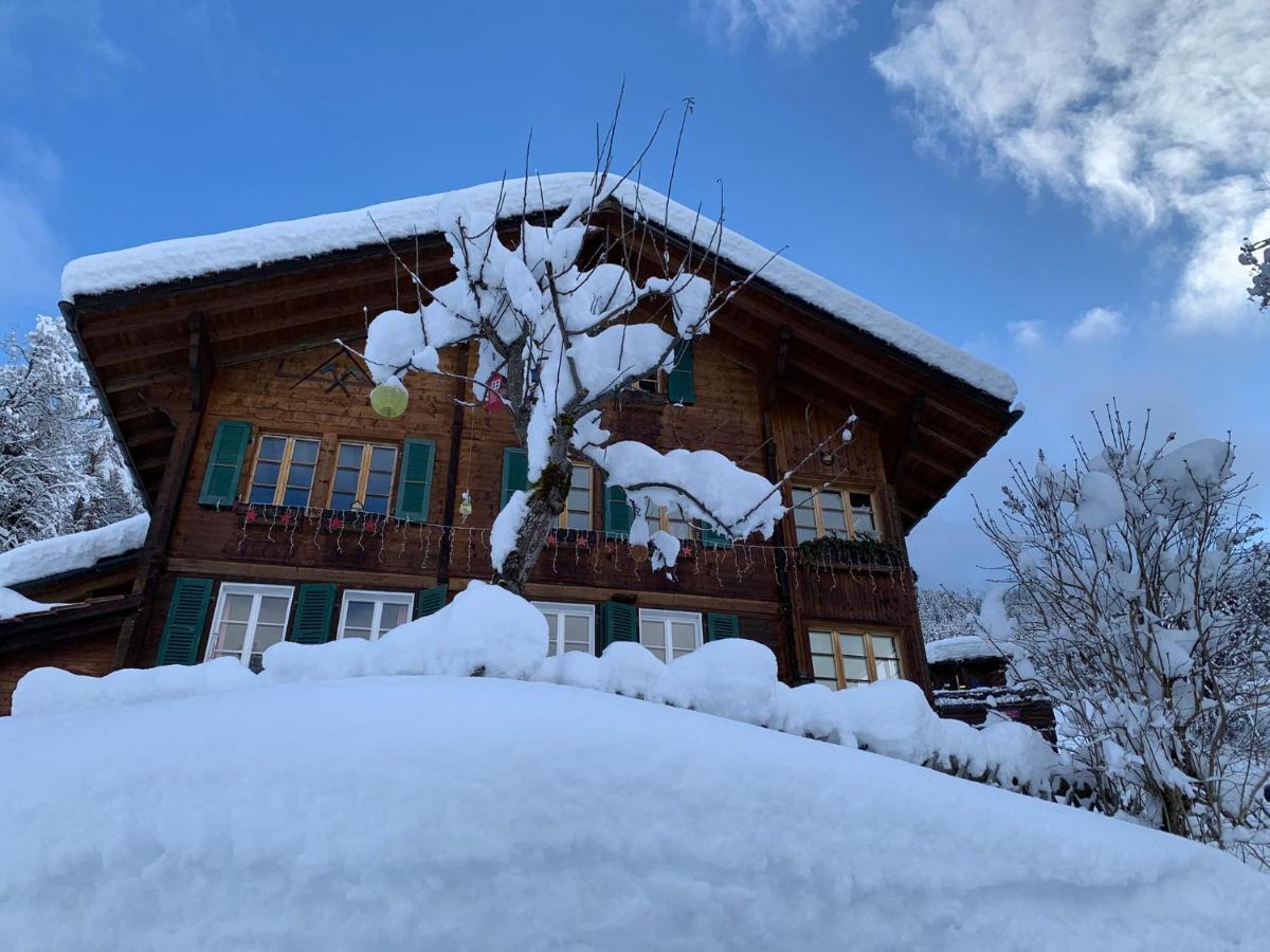 Chalet Schiltwald InnerВенген Екстер'єр фото
