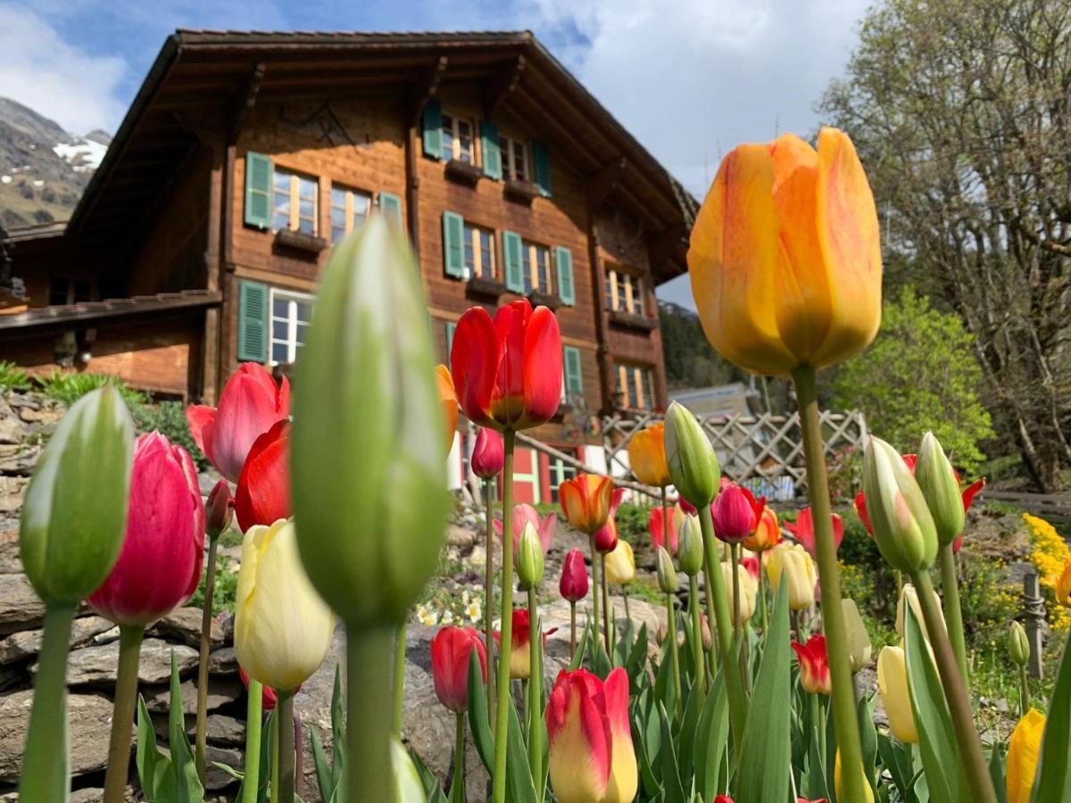 Chalet Schiltwald InnerВенген Екстер'єр фото