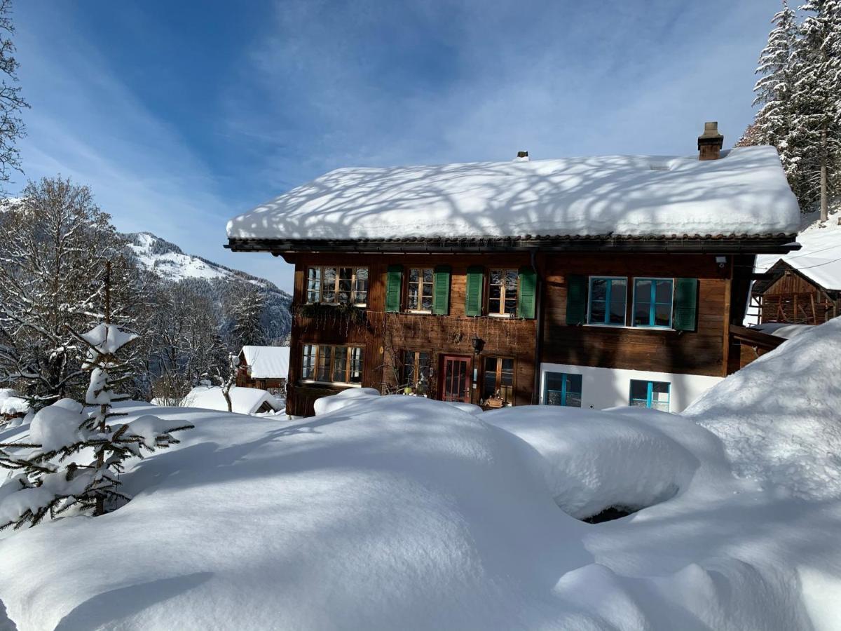 Chalet Schiltwald InnerВенген Екстер'єр фото